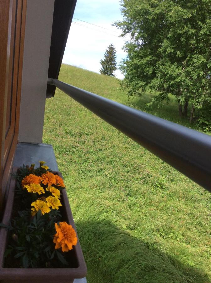 Apartman Odolov Jestrebi Hory Male Svatonovice Extérieur photo